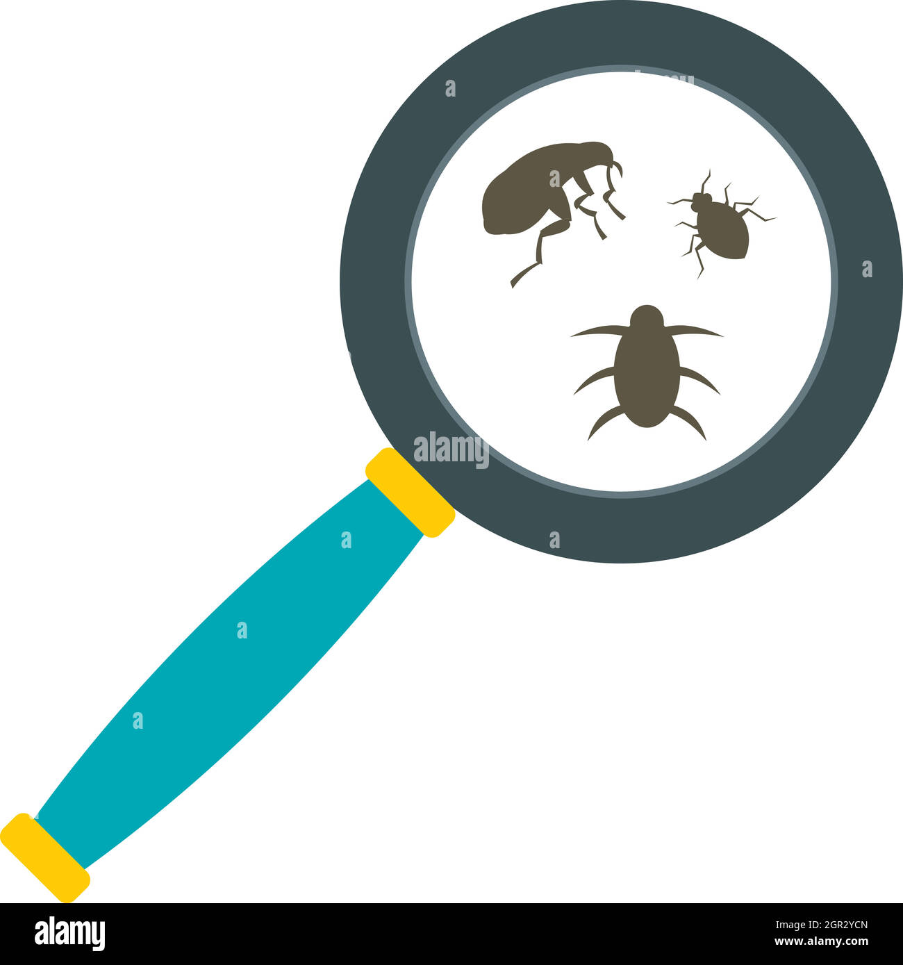 Gli insetti parassiti sotto la lente di ingrandimento Illustrazione Vettoriale