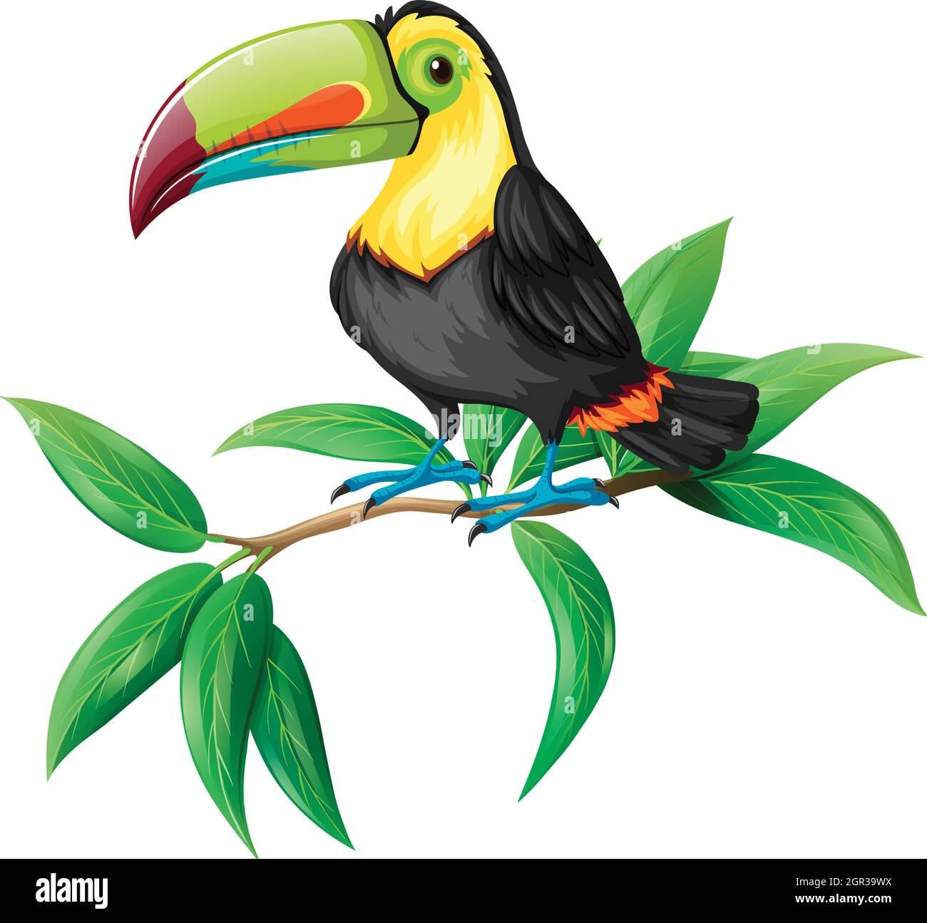 Un vettore di Toucan su sfondo bianco Illustrazione Vettoriale