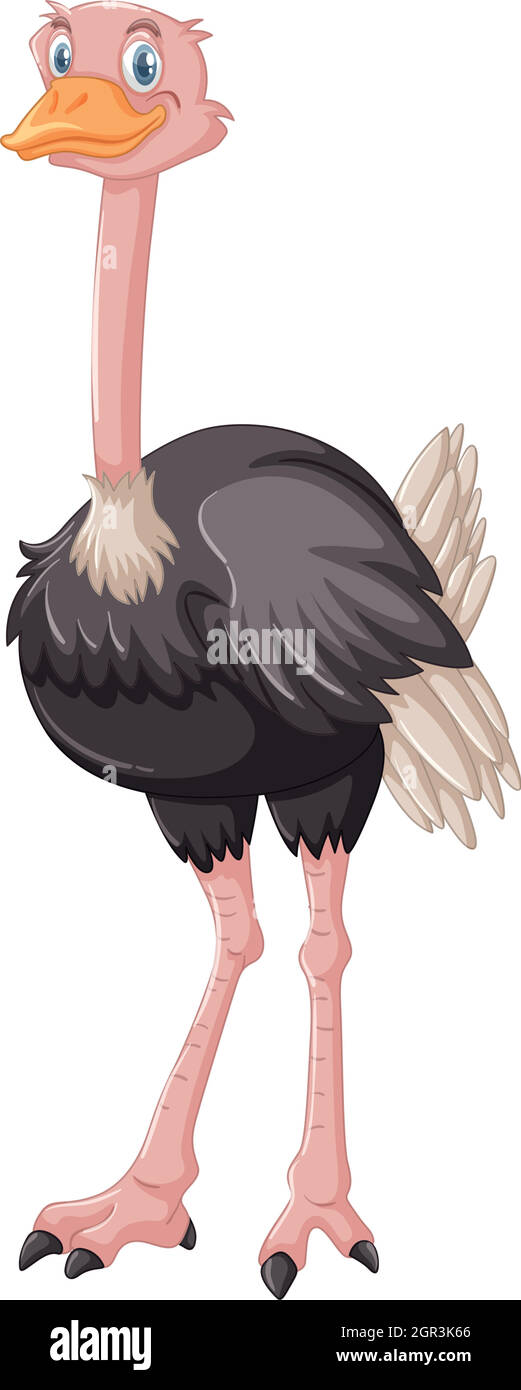 Carino struzzo in piedi su sfondo bianco Illustrazione Vettoriale