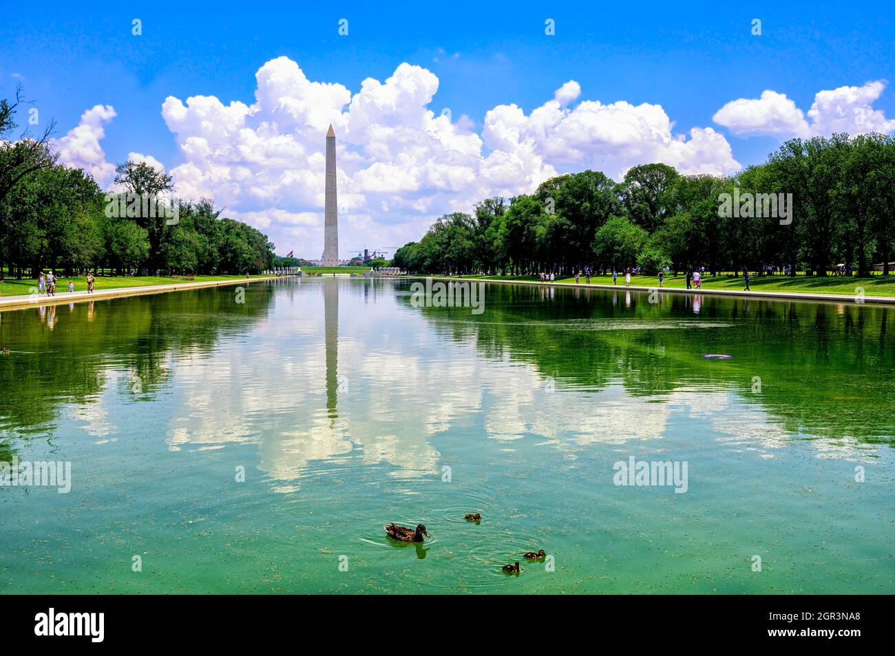 Riflessi del monumento di Washington nella piscina riflettente, Washington, DC Foto Stock