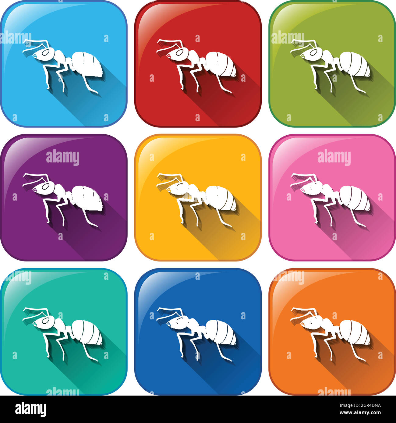 Icone ANT Illustrazione Vettoriale