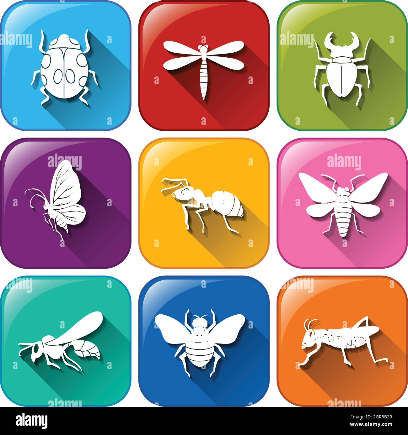 Icone con insetti Illustrazione Vettoriale