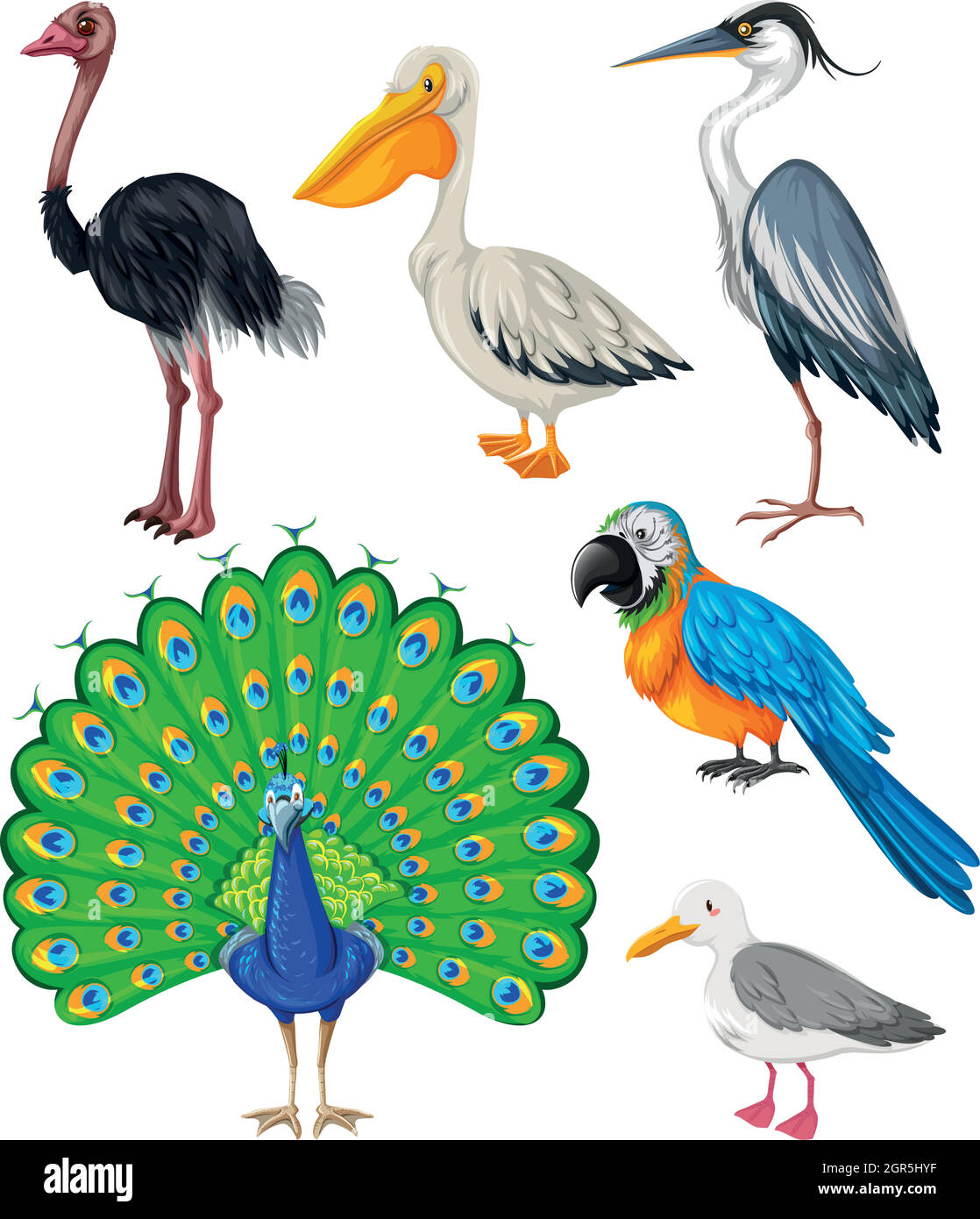 Diversi tipi di uccelli selvatici Illustrazione Vettoriale