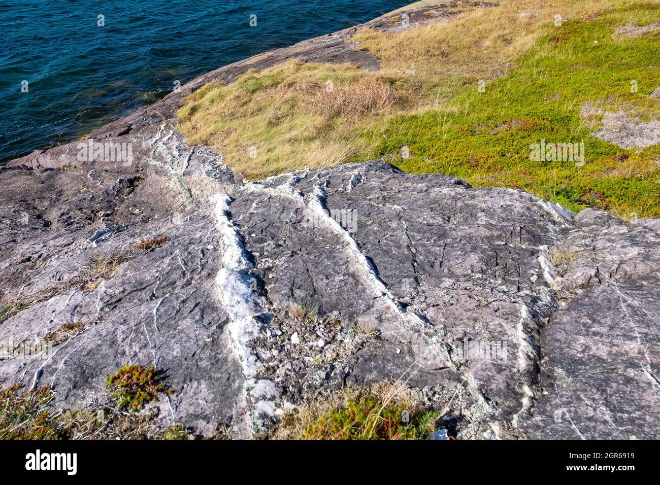 Una vista verso il basso di vene di quarzo bianco e grigio che attraversano una scogliera rocciosa grigia. C'è erba e acqua dell'oceano sullo sfondo. Foto Stock