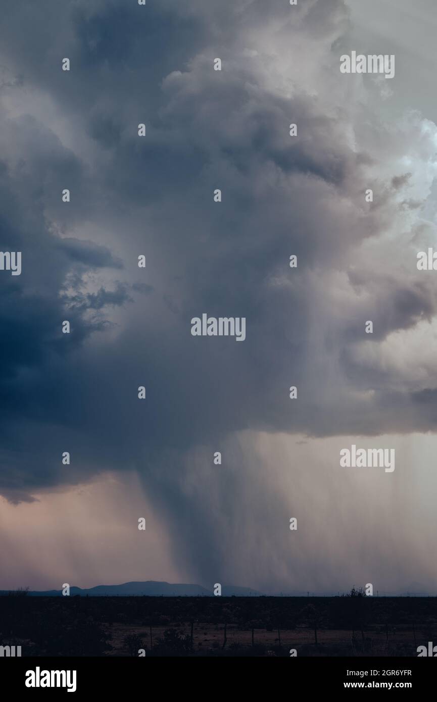 Monsone pioggia downpour in Arizona Foto Stock