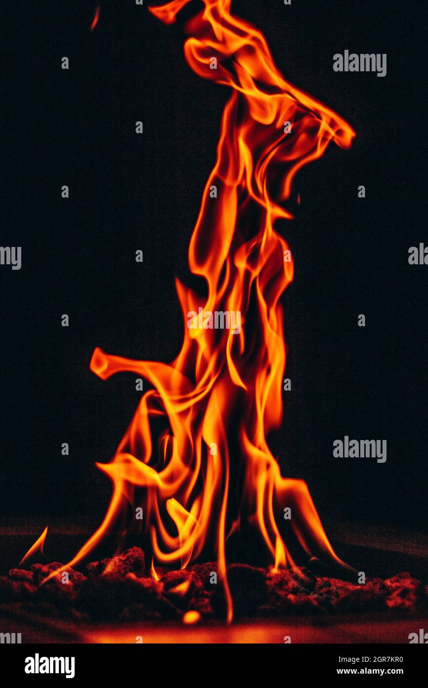Il cervo può essere mostrato in qualsiasi forma Foto Stock