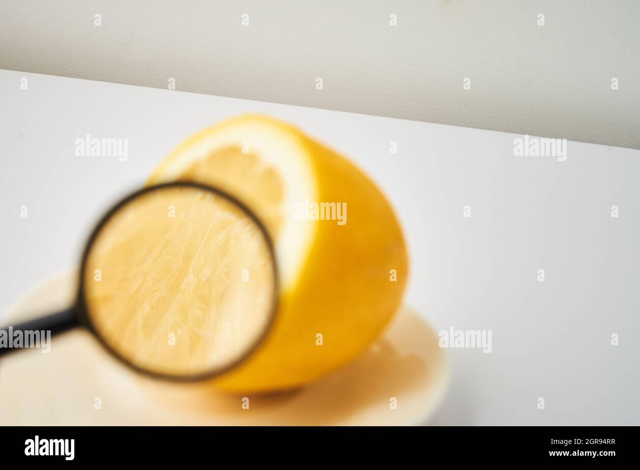 Lente d'ingrandimento punti alle fibre su Un limone affettato Foto Stock