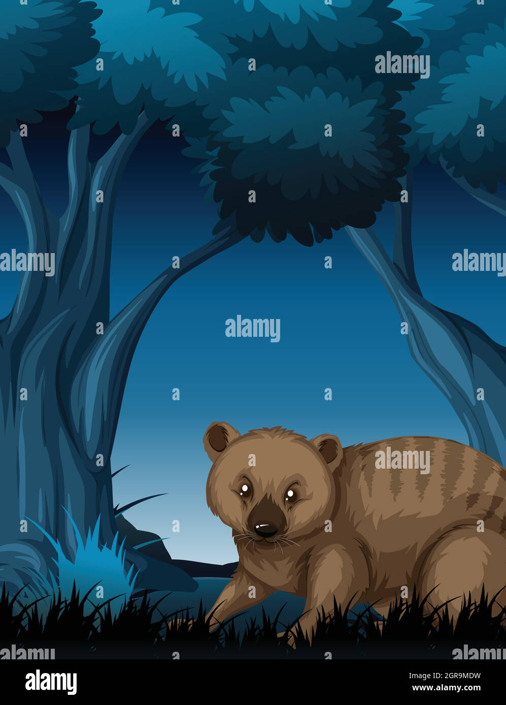Un wombat in foresta scura Illustrazione Vettoriale