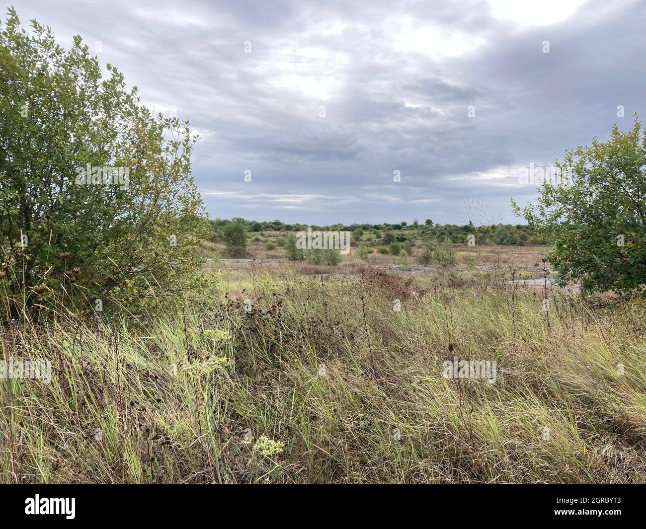 Una vista della penisola di Swanscombe vicino a Dartford nel Kent. I piani per un parco a tema sulle rive del Tamigi distruggerebbero l'habitat 'insostituibile' che attualmente ospita uccelli e lontre. Gli ambientalisti temono che il progetto London Resort proposto sulla penisola di Swanscombe danneggerebbe la fauna selvatica, incluso un ragno jumping criticamente in pericolo che si trova solo in un altro posto nel Regno Unito. Foto Stock