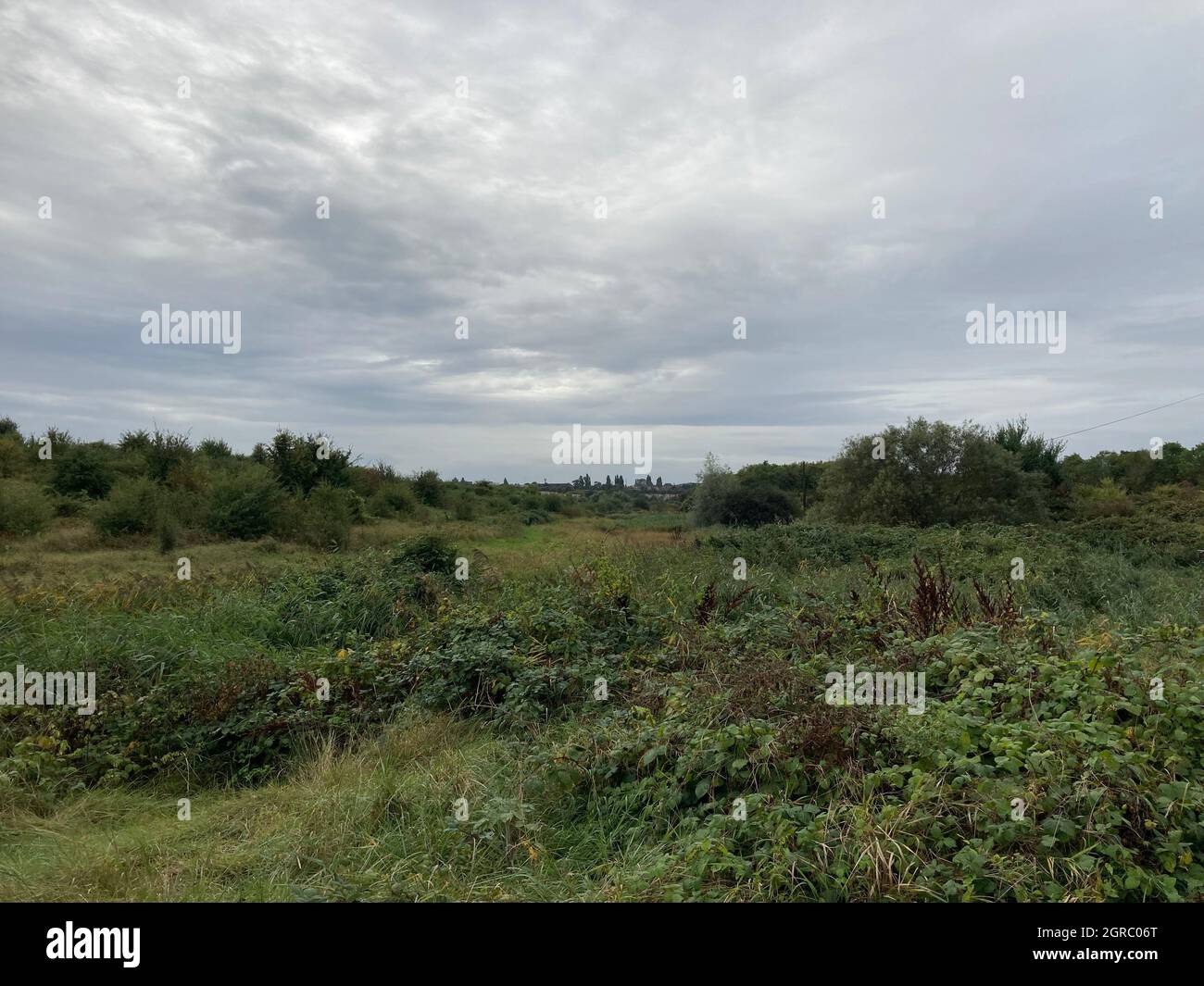 Una vista della penisola di Swanscombe vicino a Dartford nel Kent. I piani per un parco a tema sulle rive del Tamigi distruggerebbero l'habitat 'insostituibile' che attualmente ospita uccelli e lontre. Gli ambientalisti temono che il progetto London Resort proposto sulla penisola di Swanscombe danneggerebbe la fauna selvatica, incluso un ragno jumping criticamente in pericolo che si trova solo in un altro posto nel Regno Unito. Foto Stock