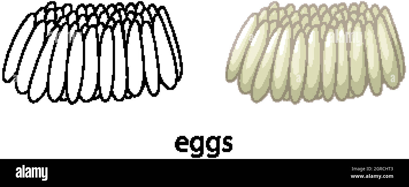 Uova di zanzara di colore e doodle isolato Illustrazione Vettoriale