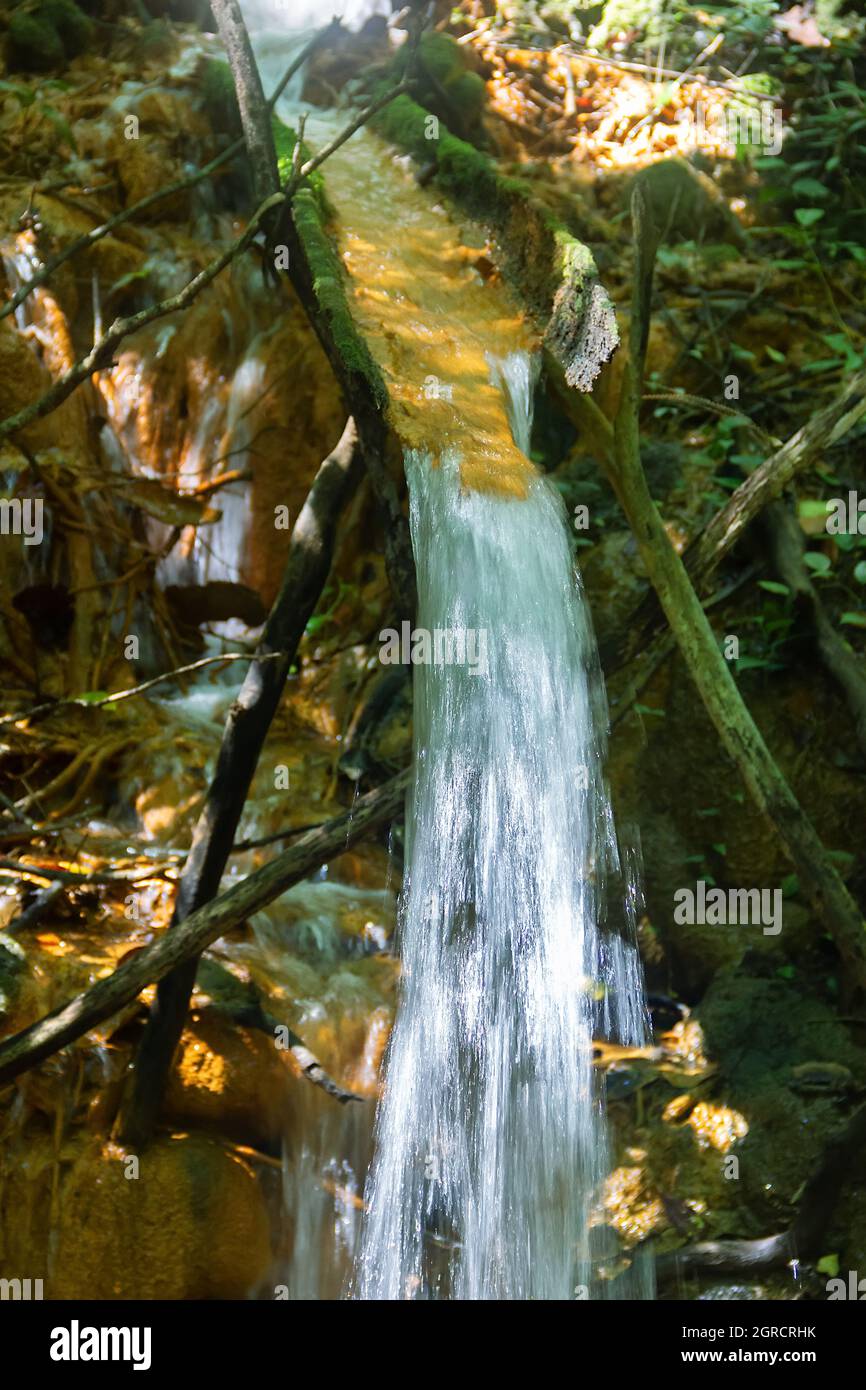 L'acquedotto del vecchio villaggio è fatto da un tronco di albero e sopravvolta di muschio, l'acqua scorre da solo, sistema di approvvigionamento idrico. Sri Lanka Foto Stock