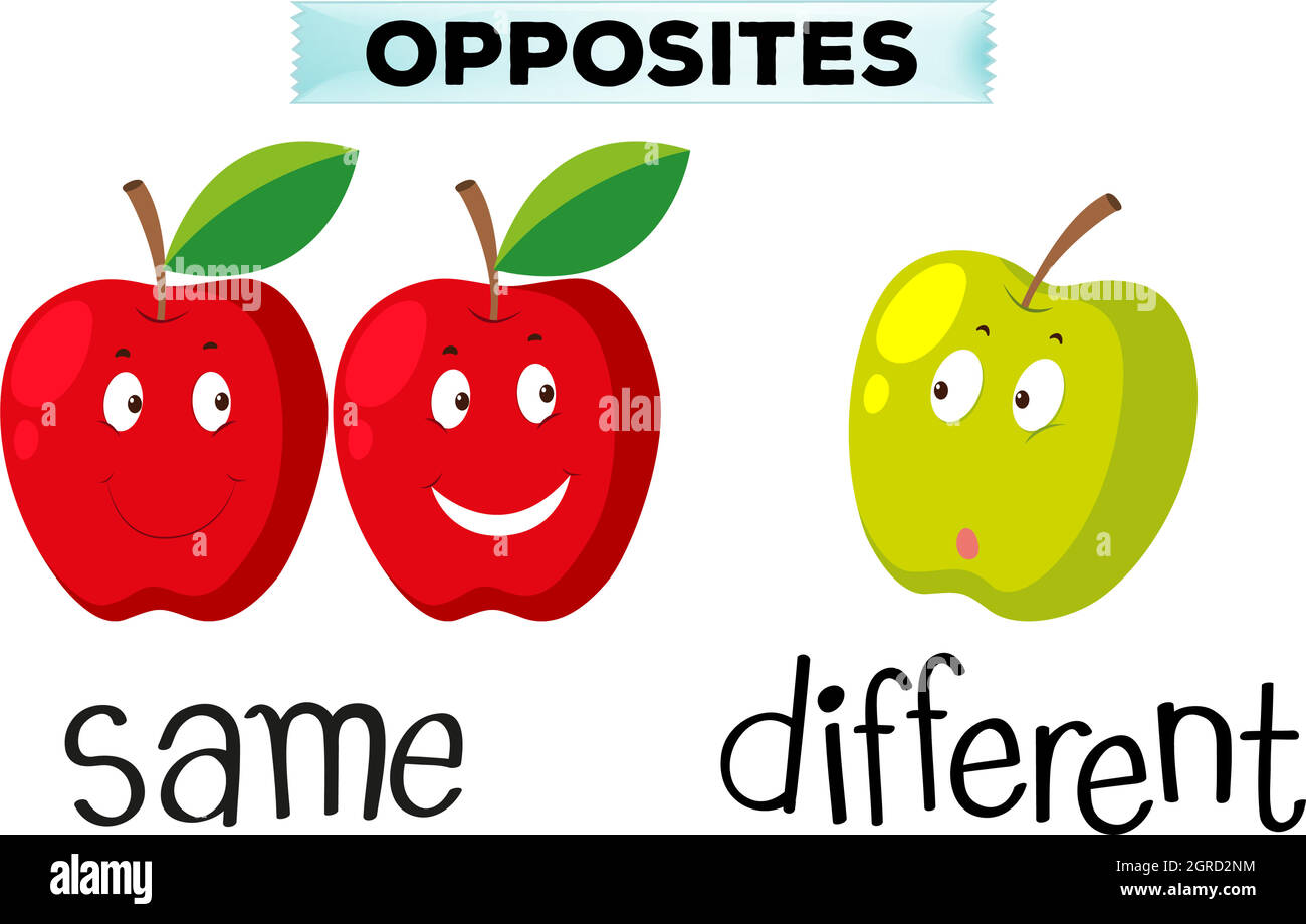 Parole opposte per uguale e diverso Illustrazione Vettoriale