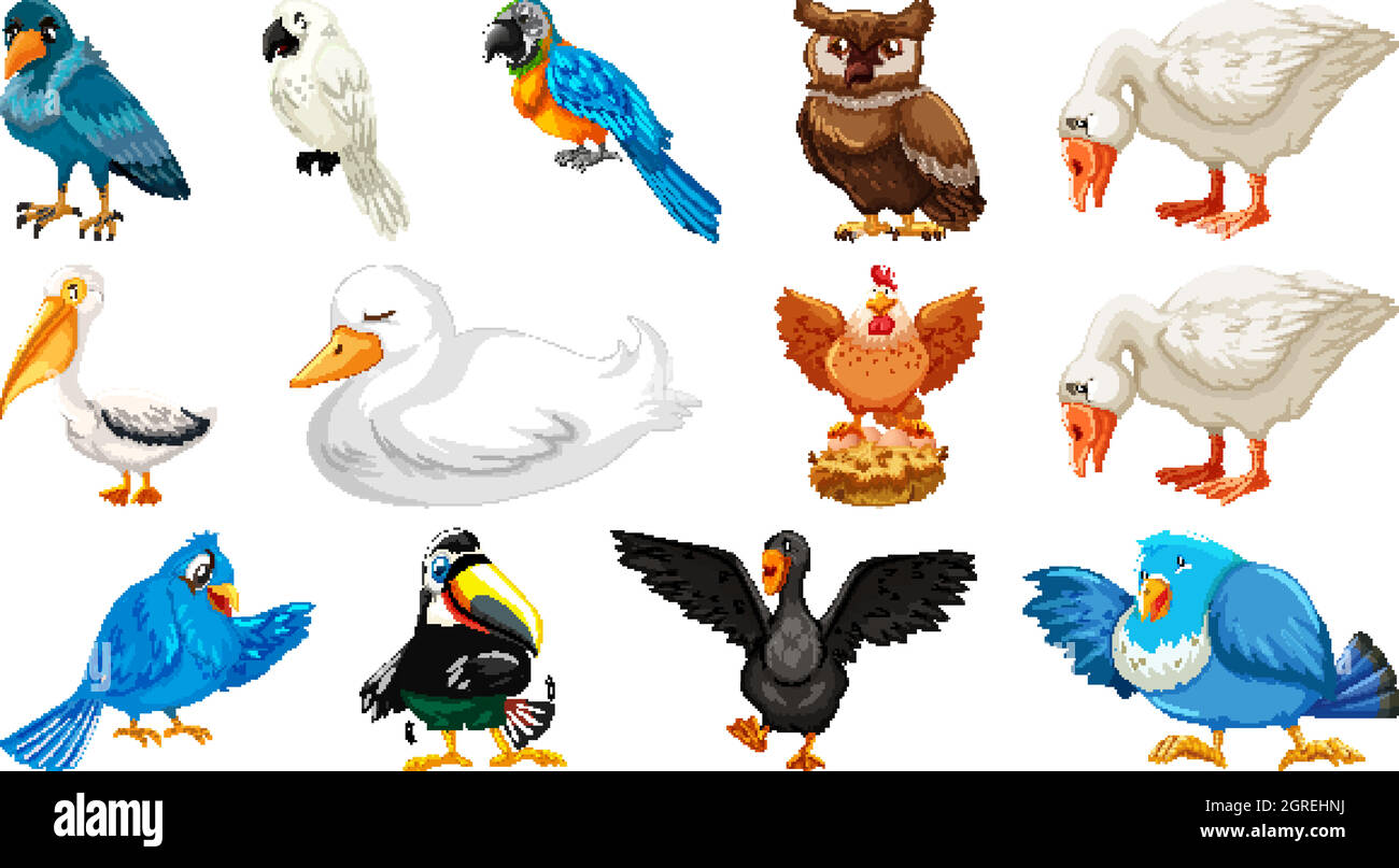 Set di diversi uccelli in stile cartoon isolato su sfondo bianco Illustrazione Vettoriale
