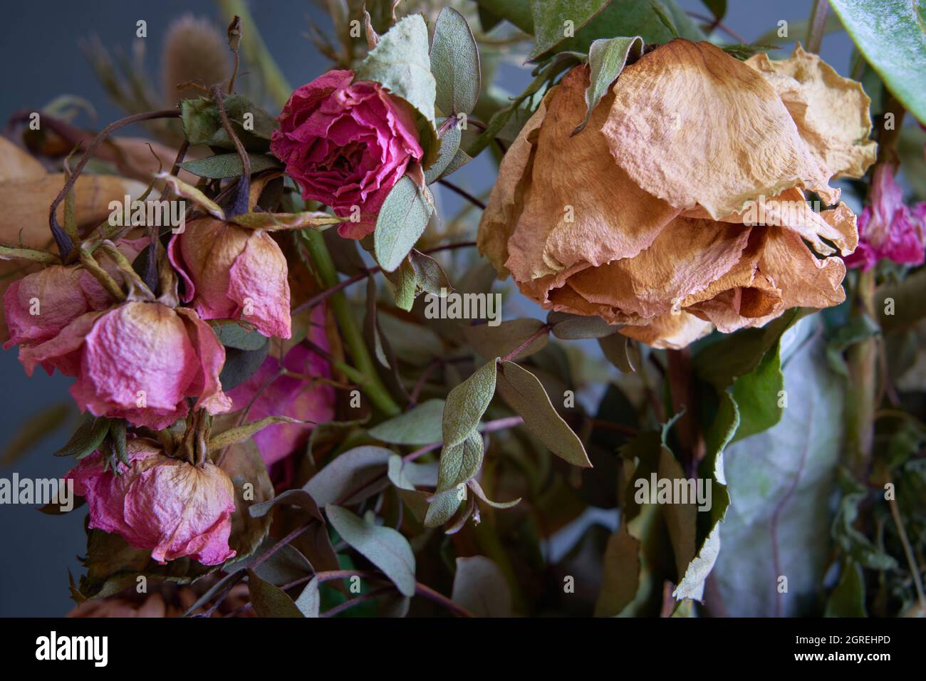 Teste di fiore morte e morente da un bouquet Foto Stock