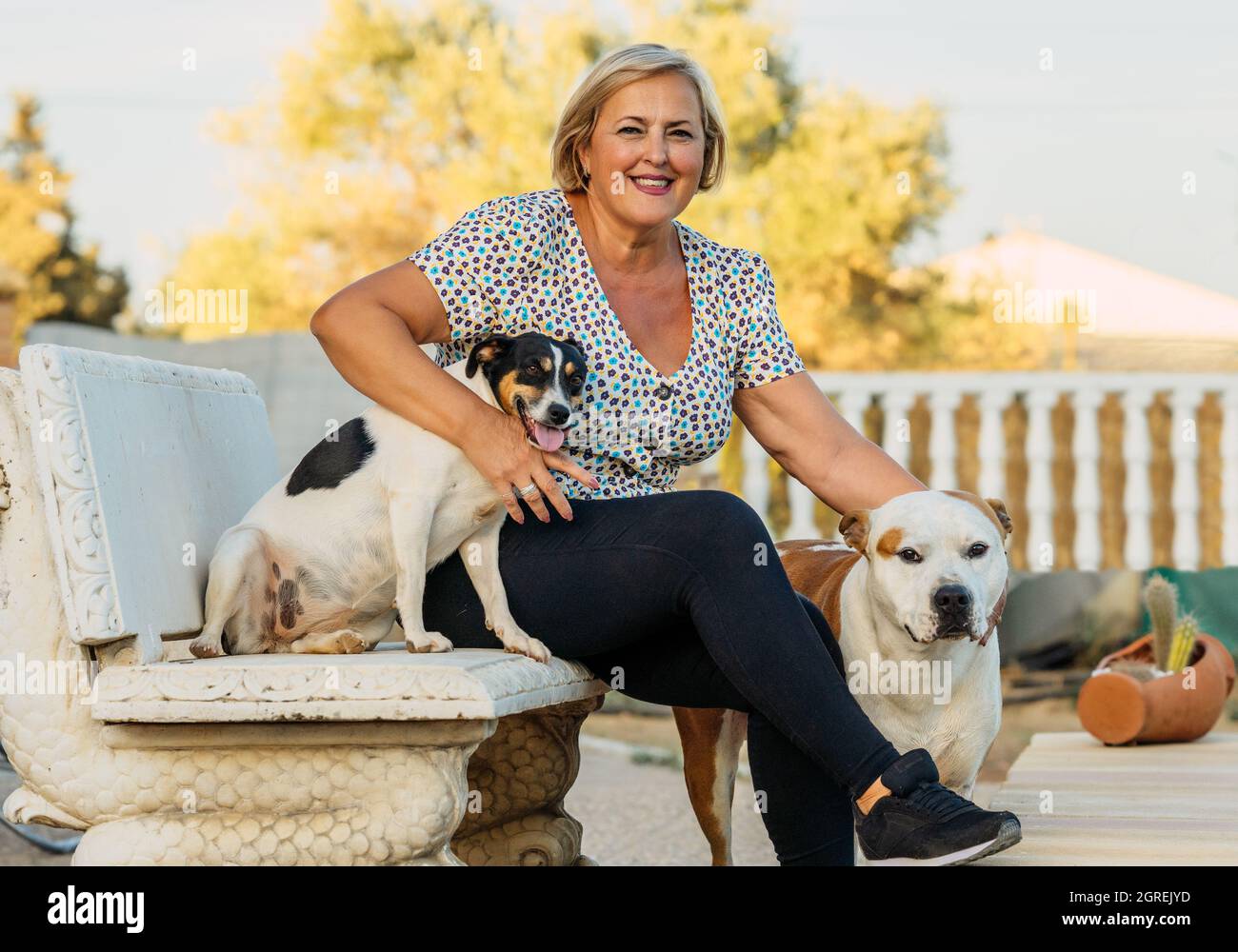 Donna seduta su una panca in una terrazza all'aperto con due cani Foto Stock