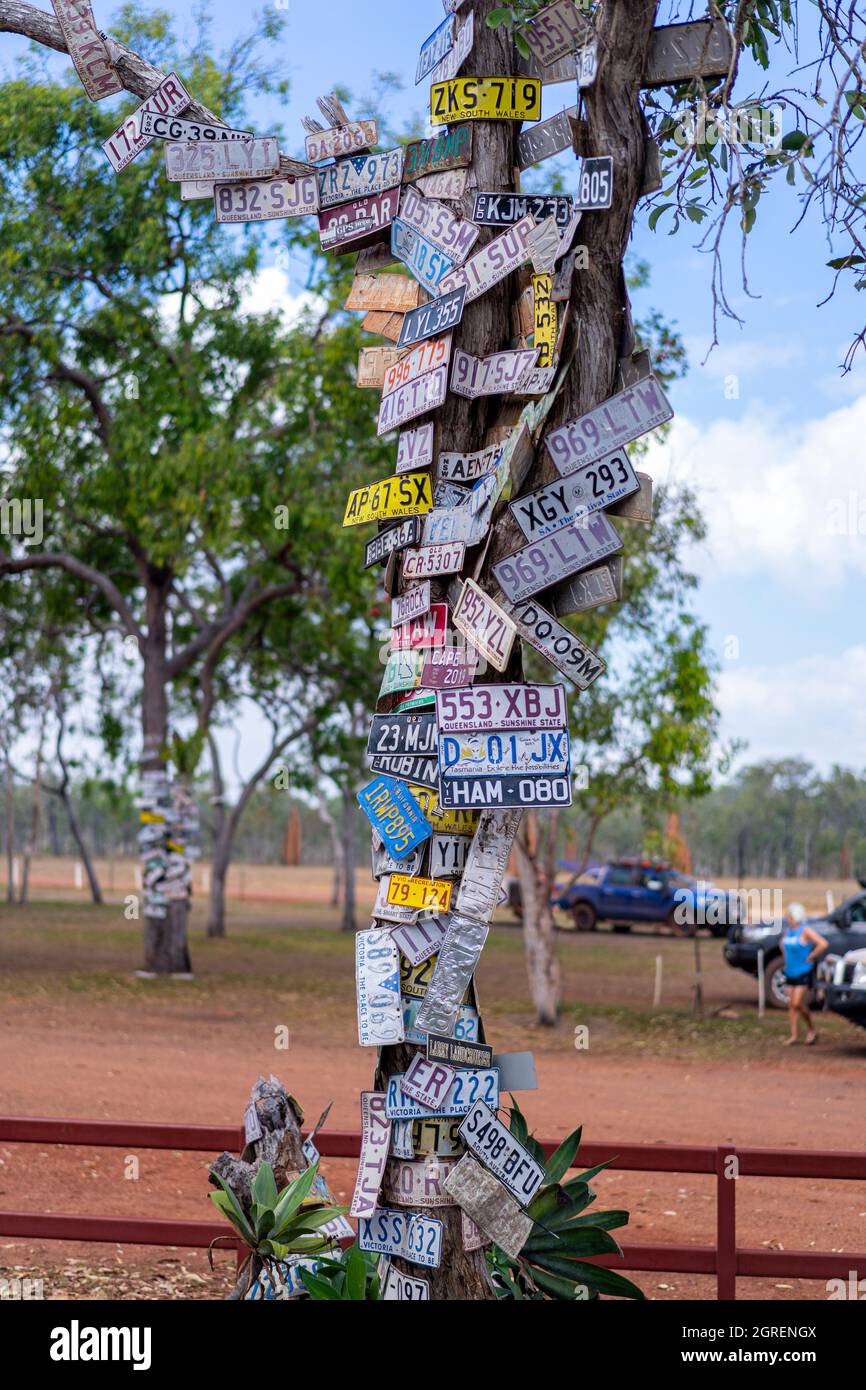 Targhe di immatricolazione del veicolo inchiodate ad albero, Bramwell Junction Roadhouse, Peninsula Development Road, Cape York, North Queensland Foto Stock