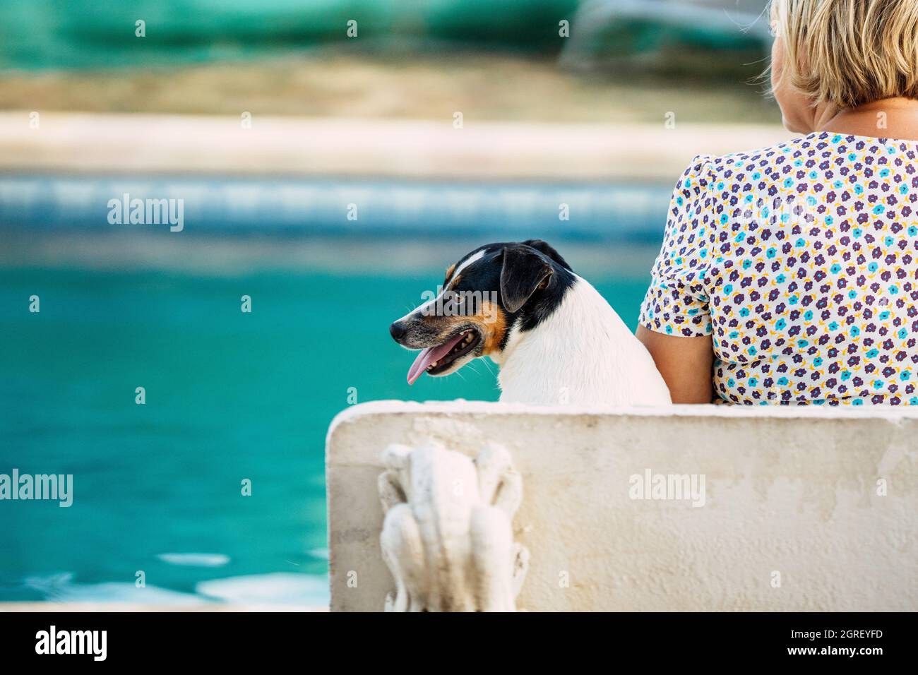 Distratto piccolo cane seduto su una panca accanto a una donna di fronte a una piscina Foto Stock