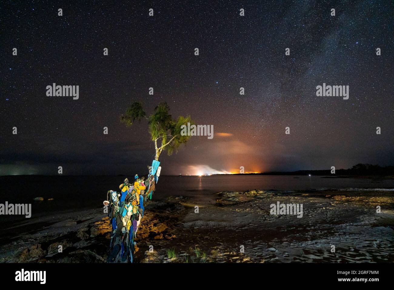 Thong Tree sulla spiaggia a Alau Beach Campground di notte sotto, Alau Beach Campground, Umagico, Cape York Peninsula, North Queensland Foto Stock