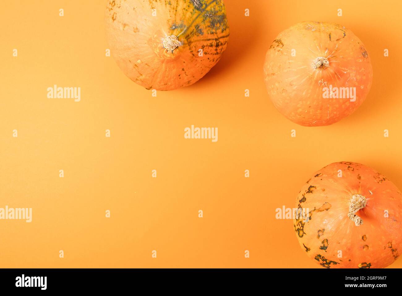 Composizione autunnale con zucche organiche su sfondo arancione, posa piatta. Foto Stock