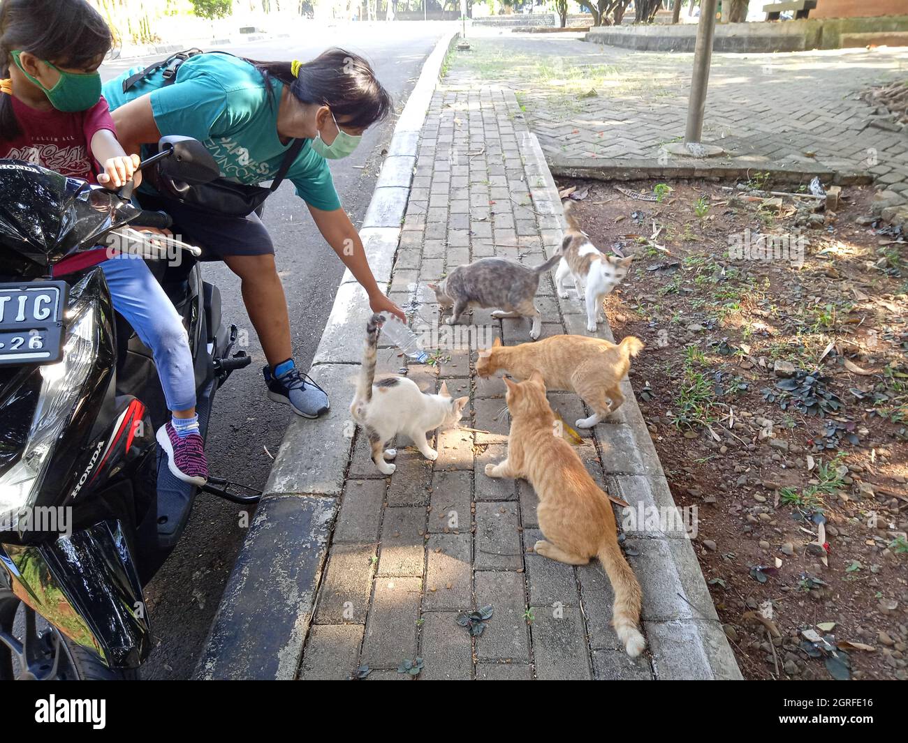 Photo Editorial, 26 settembre 2021, Giacarta Est, Indonesia, Bambini e sua madre che nutrono gatti di paglia Foto Stock