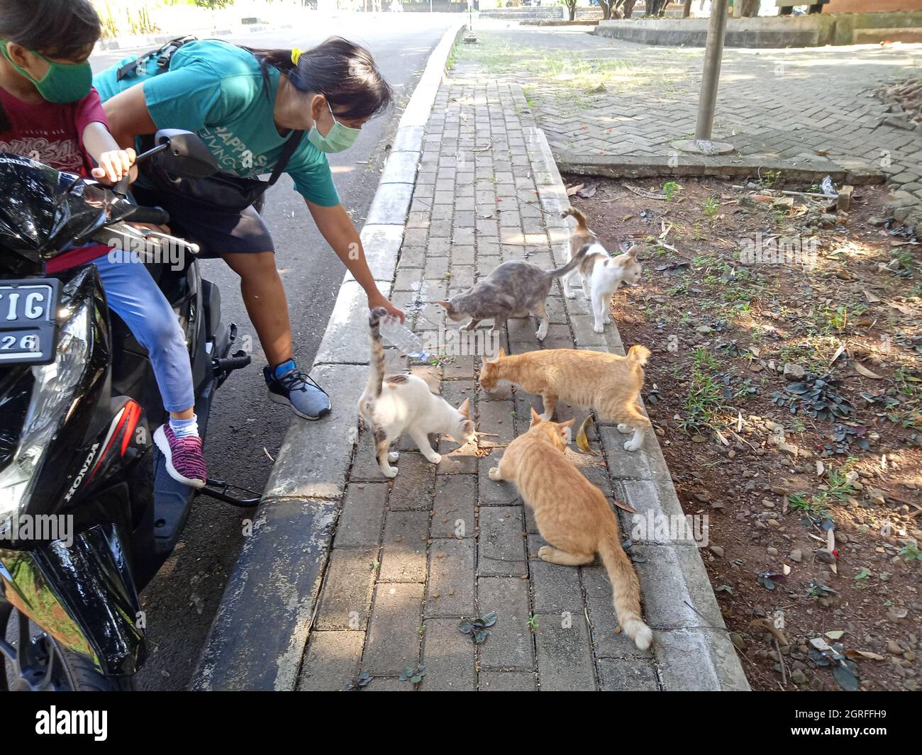 Photo Editorial, 26 settembre 2021, Giacarta Est, Indonesia, Bambini e sua madre che nutrono gatti di paglia Foto Stock