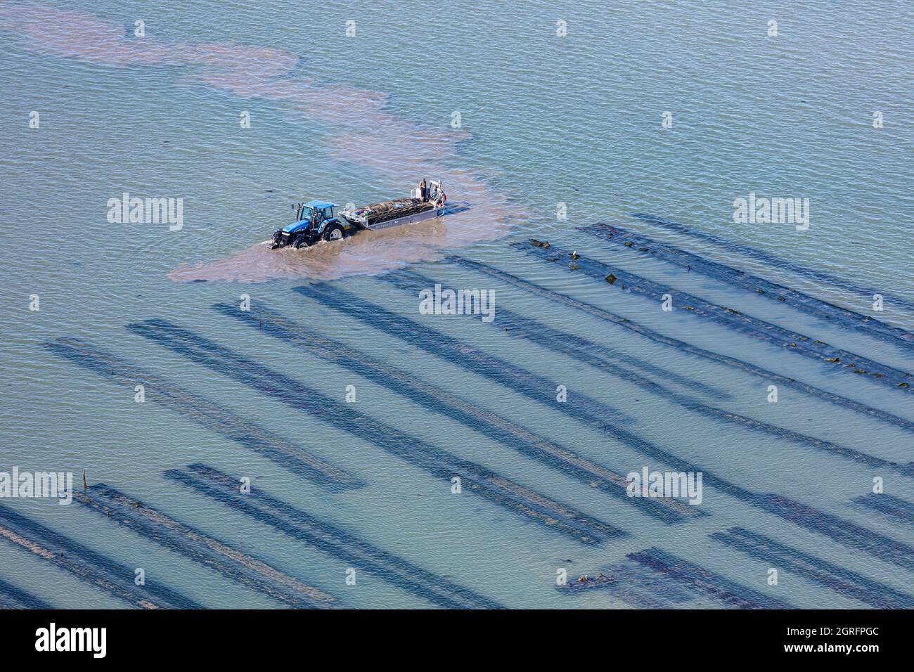 Francia, Vendee, Beauvoir sur Mer, il Passage du Gois, barca di ostriche in un campo di ostriche (vista aerea) Foto Stock