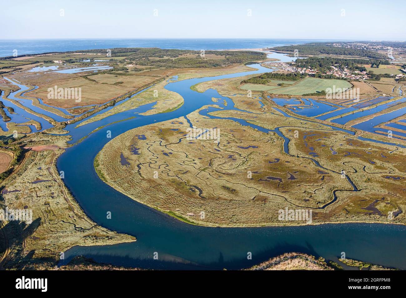 Francia, Vendee, Talmont St Hilaire, la Guittiere paludi (vista aerea) Foto Stock