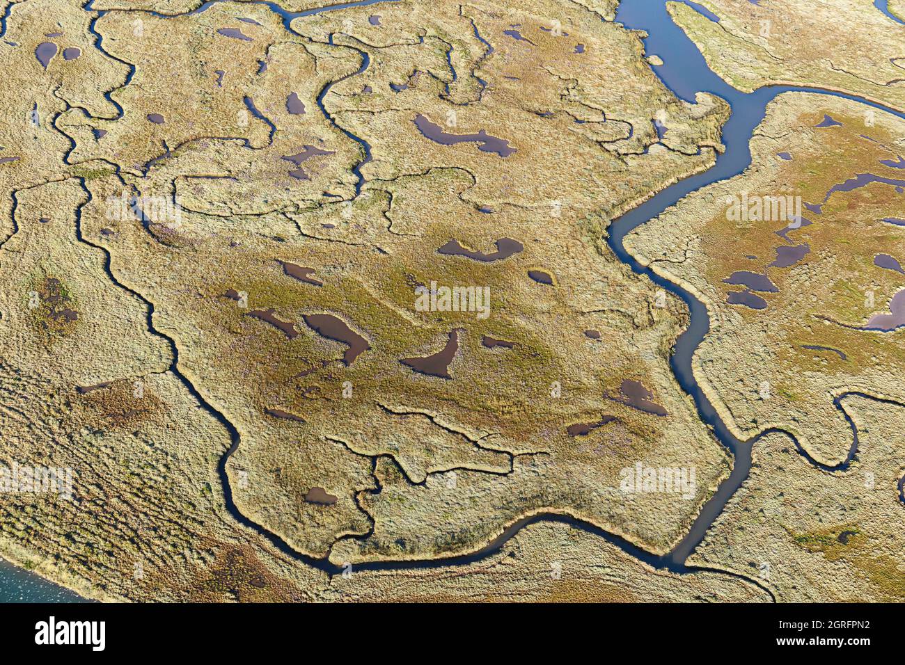 Francia, Vendee, Talmont St Hilaire, la Guittiere paludi (vista aerea) Foto Stock