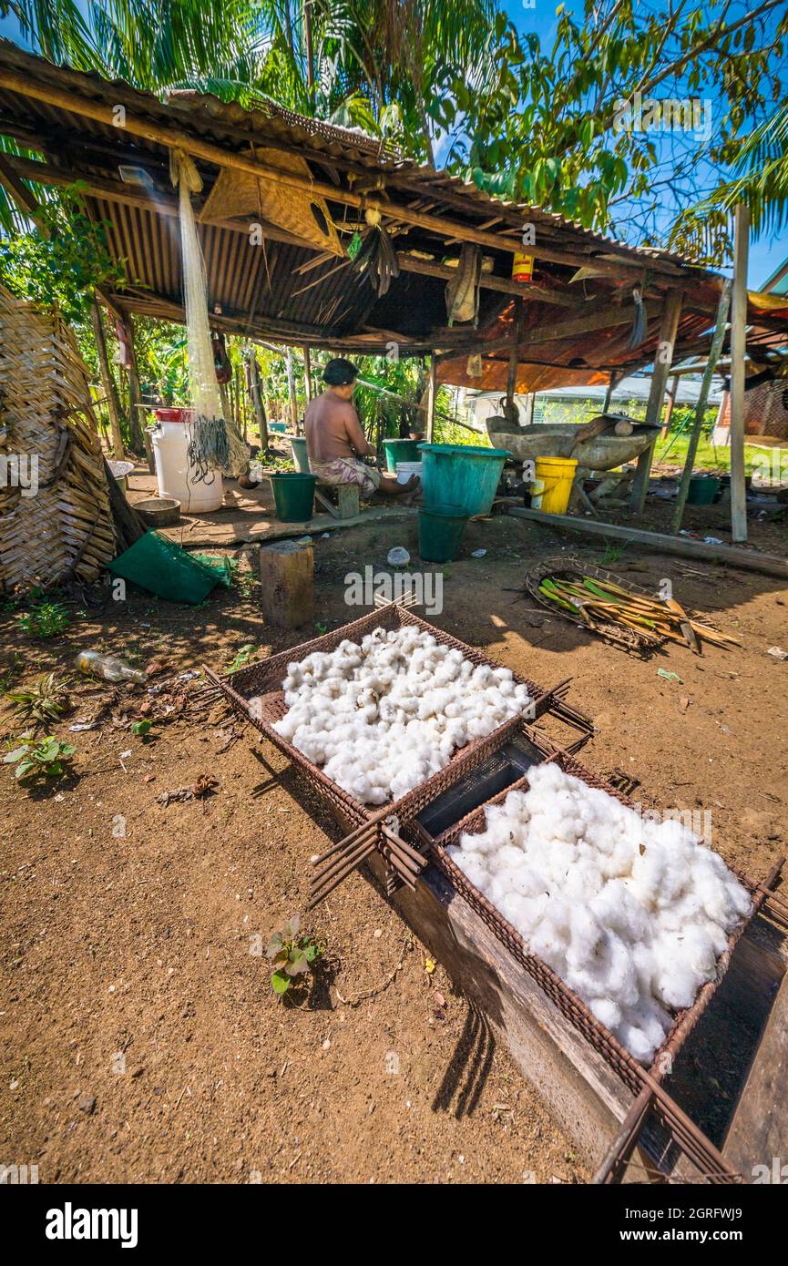 Francia, Guyana francese, Parc Amazonien de Guyane, Camopi, coltura di cotone che asciuga al sole, parte del villaggio Amerindian di Wayãpi Foto Stock