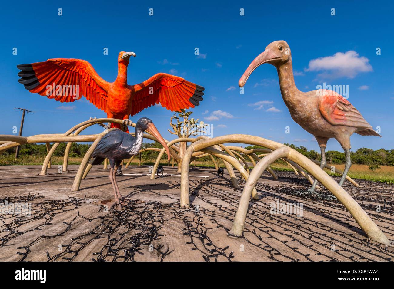 Francia, Guyana francese, Sinamary, scultura monumentale di ibis rosso, uccelli emblematici della città conosciuta per le sue colonie selvatiche di ibis rosso (Eudocimus ruber) Foto Stock