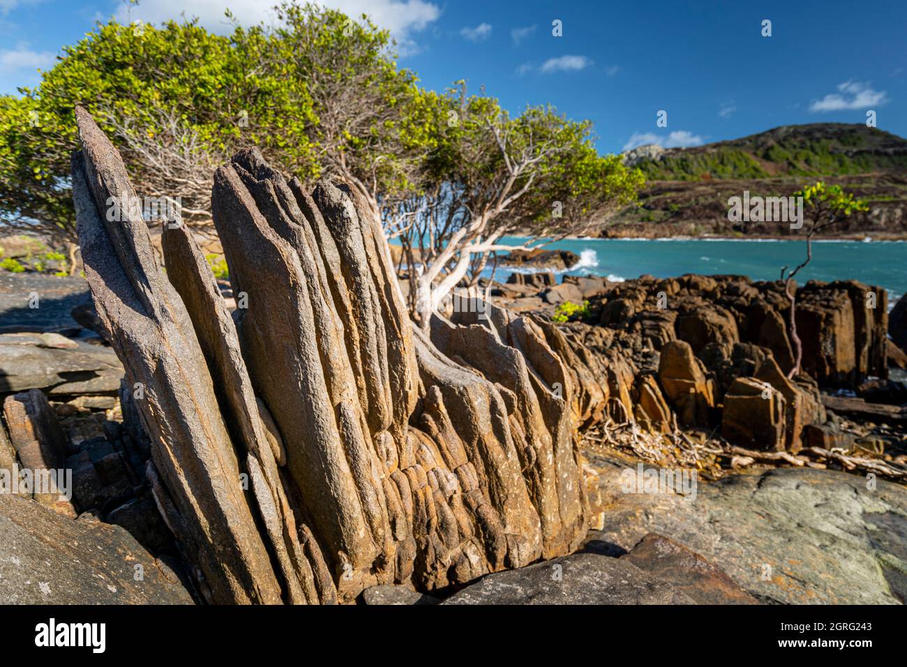 Lastre di roccia verticali e mangrovie alla punta dell'Australia, Penisola di Cape York, nell'estremo Nord del Queensland Australia Foto Stock