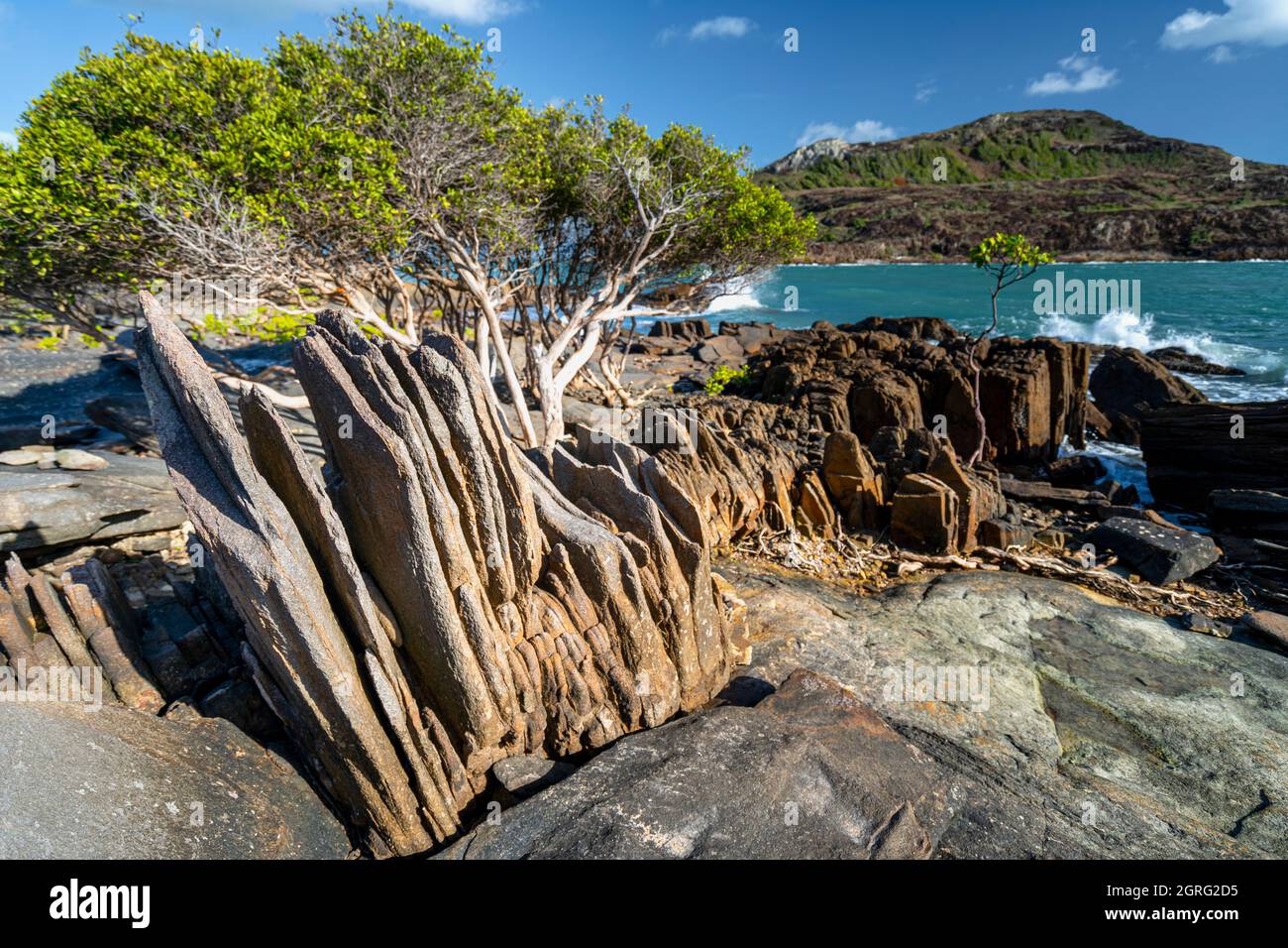 Lastre di roccia verticali e mangrovie alla punta dell'Australia, Penisola di Cape York, nell'estremo Nord del Queensland Australia Foto Stock