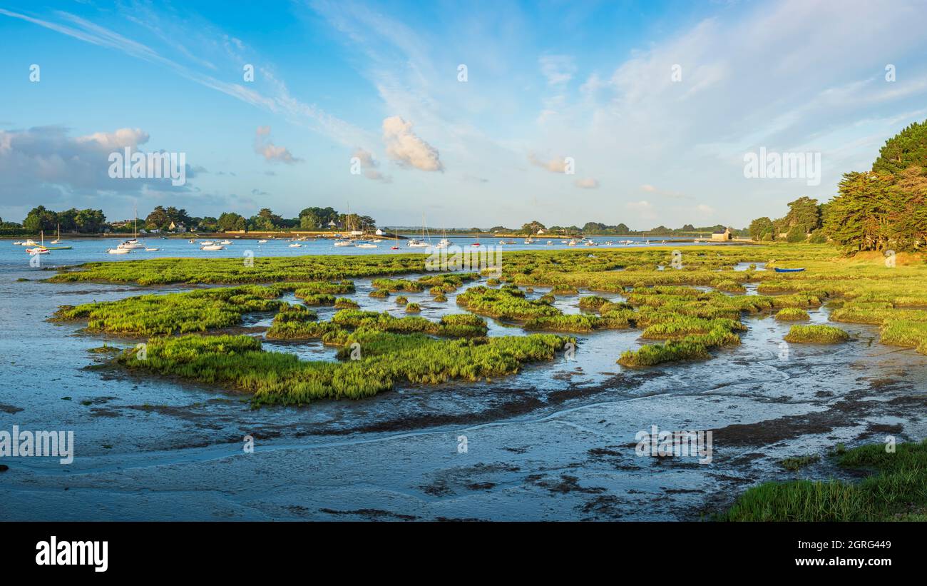 Francia, Morbihan, Golfo di Morbihan, Séné, passaggio Saint-Armel Foto Stock