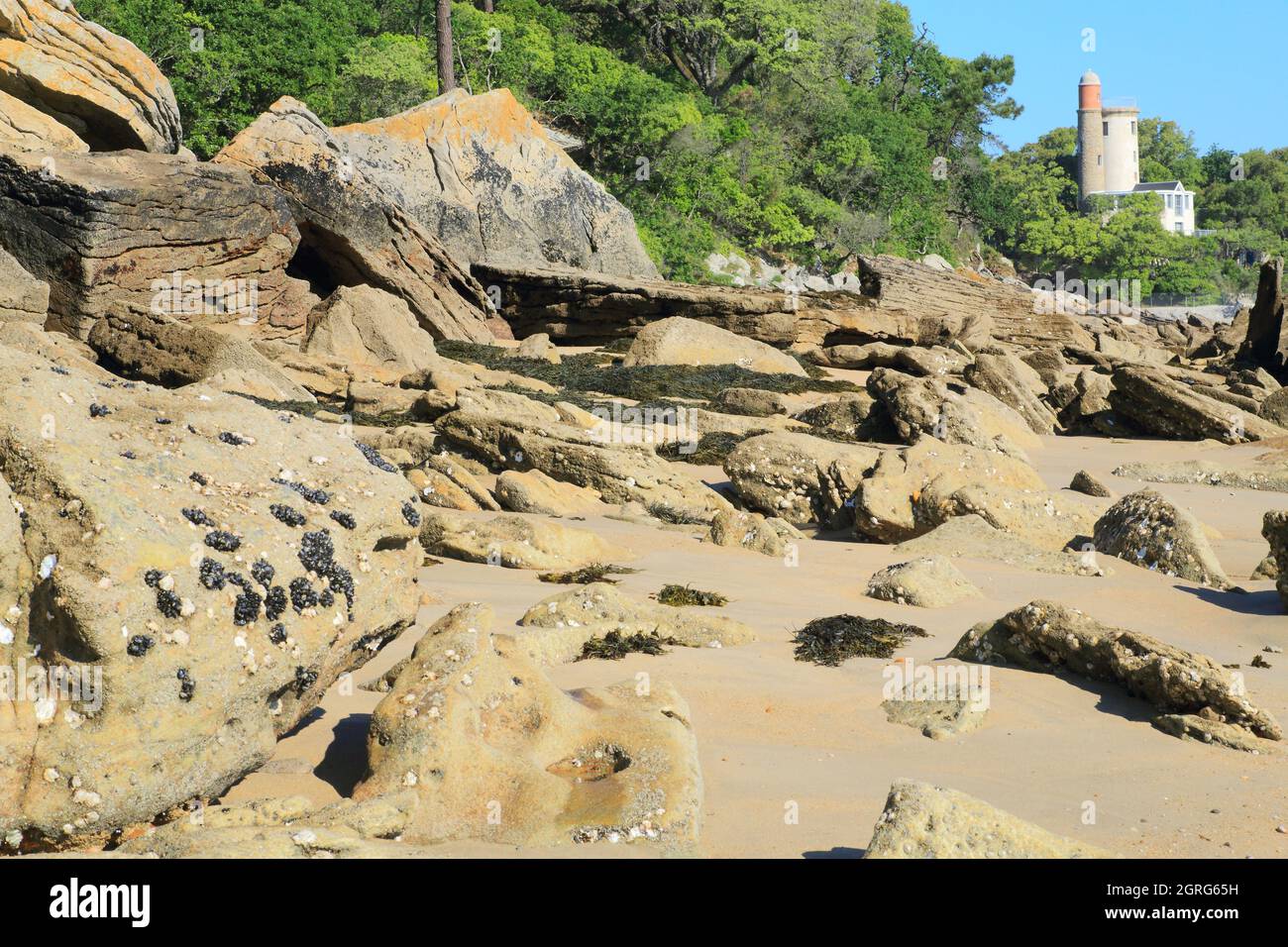 Francia, Vendee, Noirmoutier Island, Noirmoutier en l'ile, Anse Rouge Beach e Plantier Tower Foto Stock