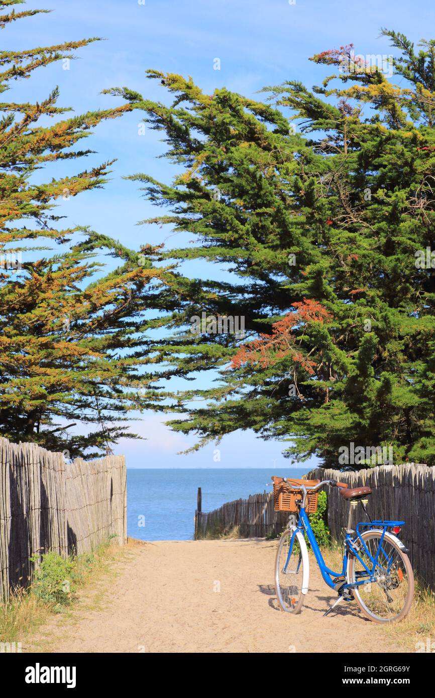 Francia, Vendee, Noirmoutier Island, Noirmoutier en l'ile, spiaggia Sableaux, bicicletta Foto Stock