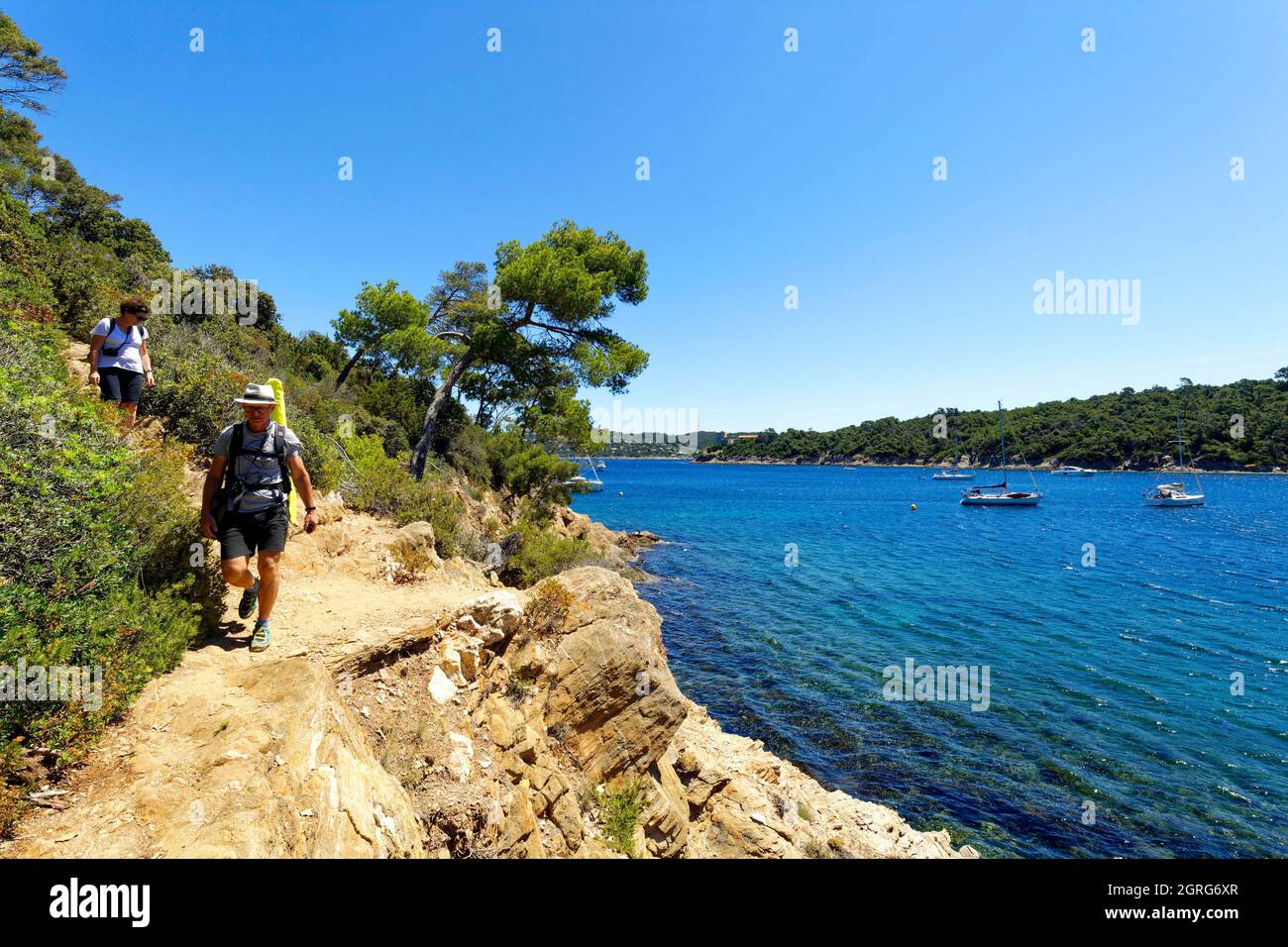 Francia, Var, Isole Hyeres, Parco Nazionale di Port Cros isola di Port Cros, sentiero per la baia di Port Man Foto Stock