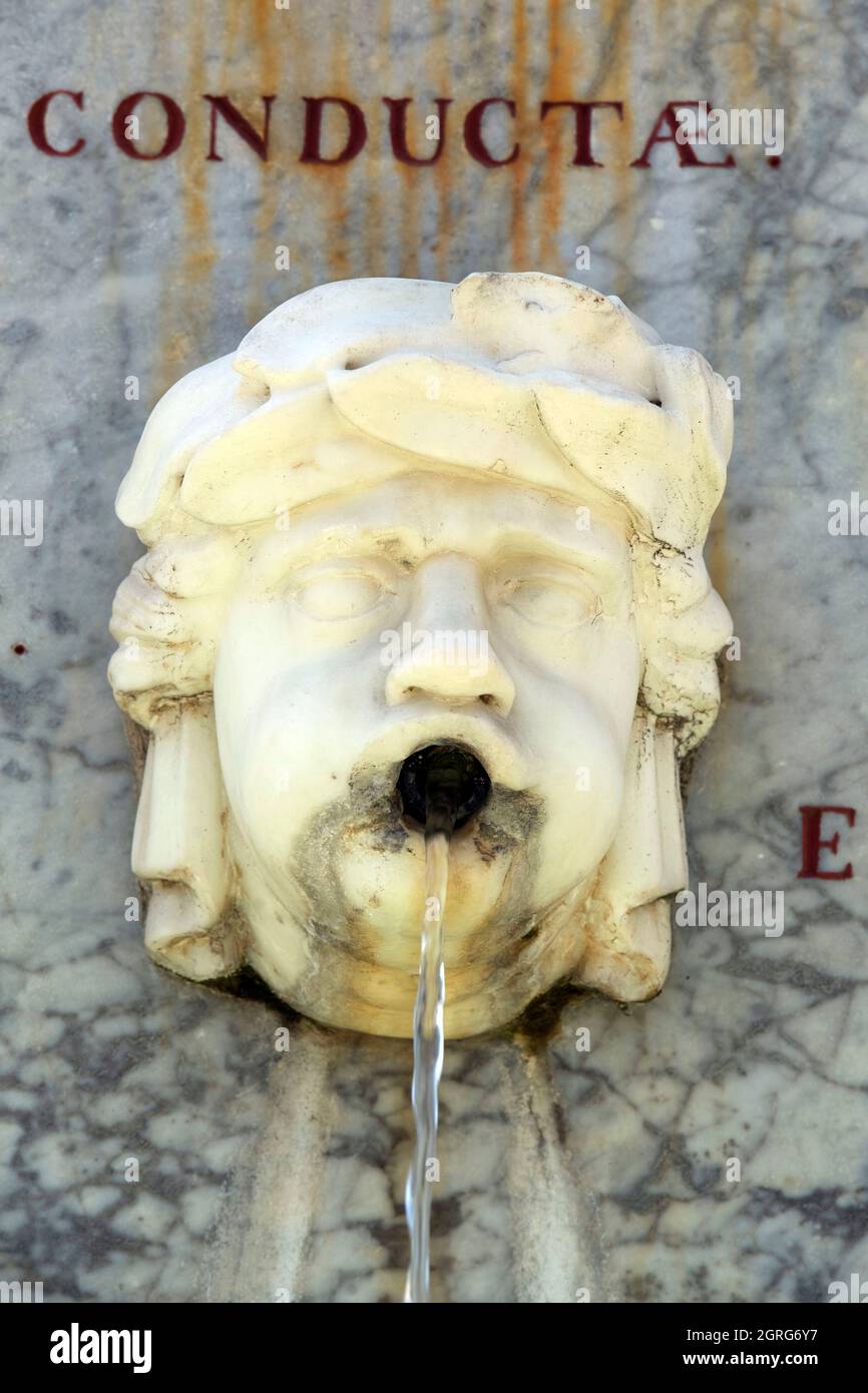 Francia, Var, Provenza Verte, Saint Maximin la Sainte Baume, Place Malherbe, fontana Foto Stock