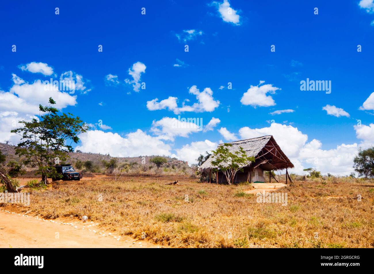 Kenya, colline Taita, campo Lualenyi, tenda Foto Stock