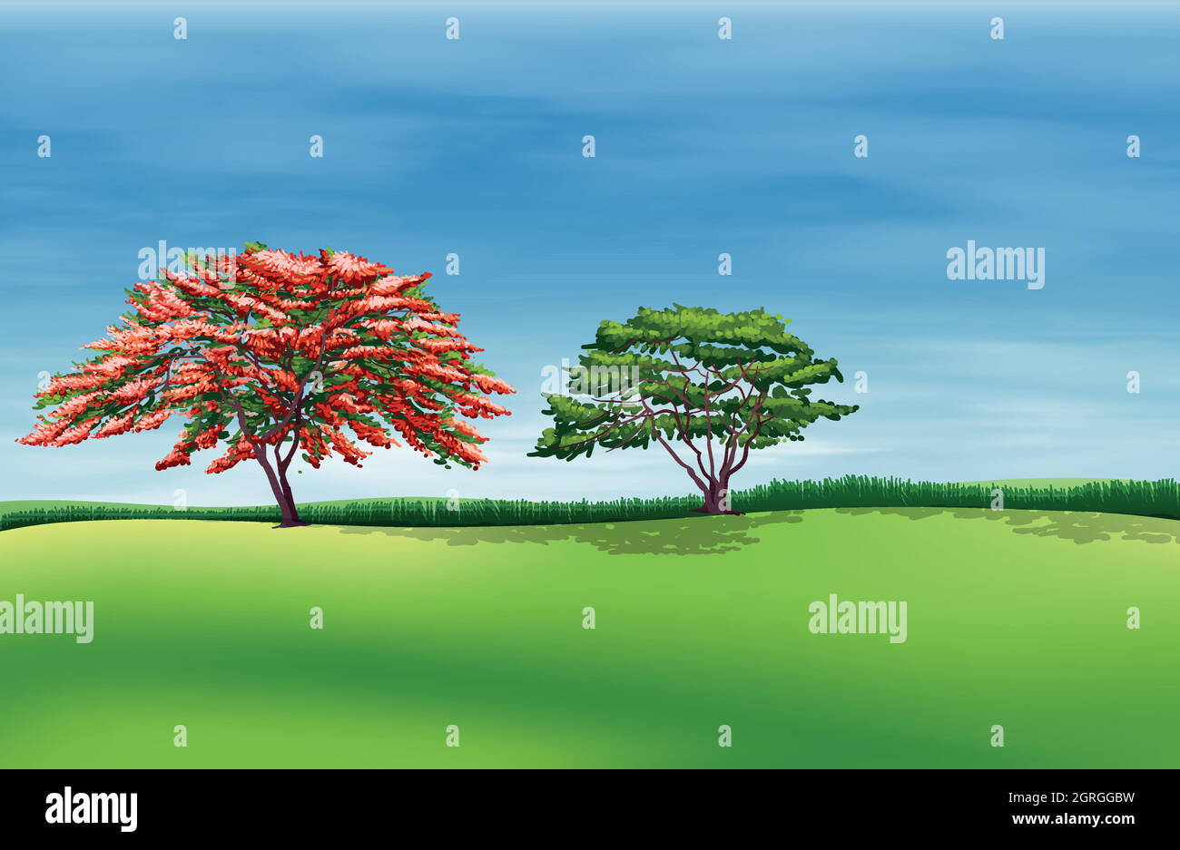 Ambiente Illustrazione Vettoriale