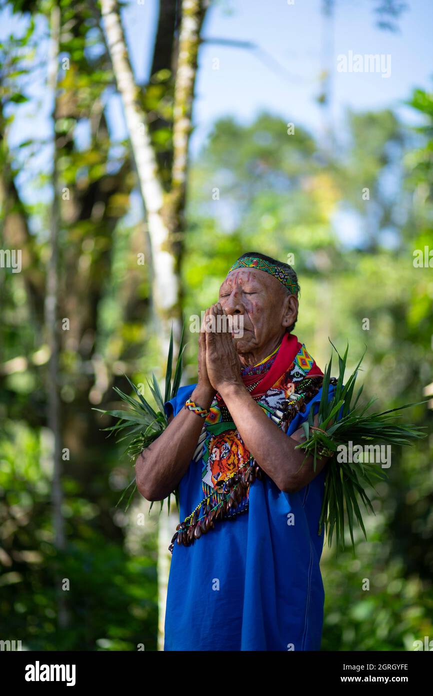 Sciamano indigeno Cofan che prega con le mani unite nella foresta amazzonica Foto Stock