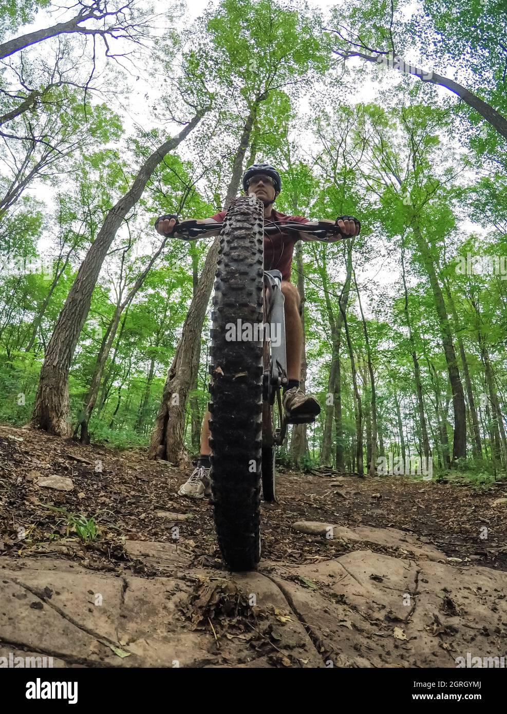 Angolo basso prospettiva di un mountain bike su sentiero boscoso. Foto Stock