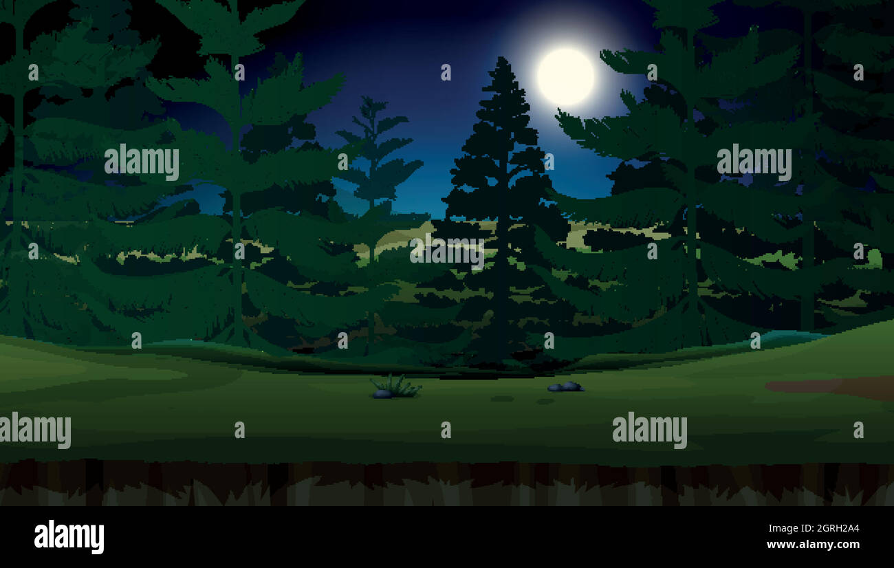 Una foresta nella notte buia Illustrazione Vettoriale