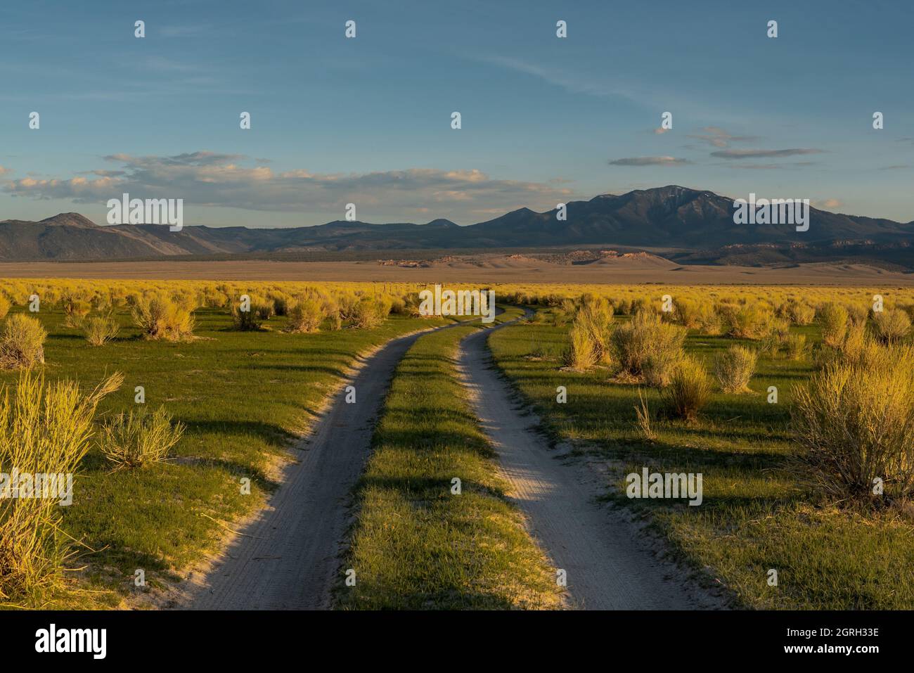 Strada sterrata vicino al Lago Mono, California, USA, al mattino presto, con montagne sullo sfondo e grande spazio blu clopy Foto Stock