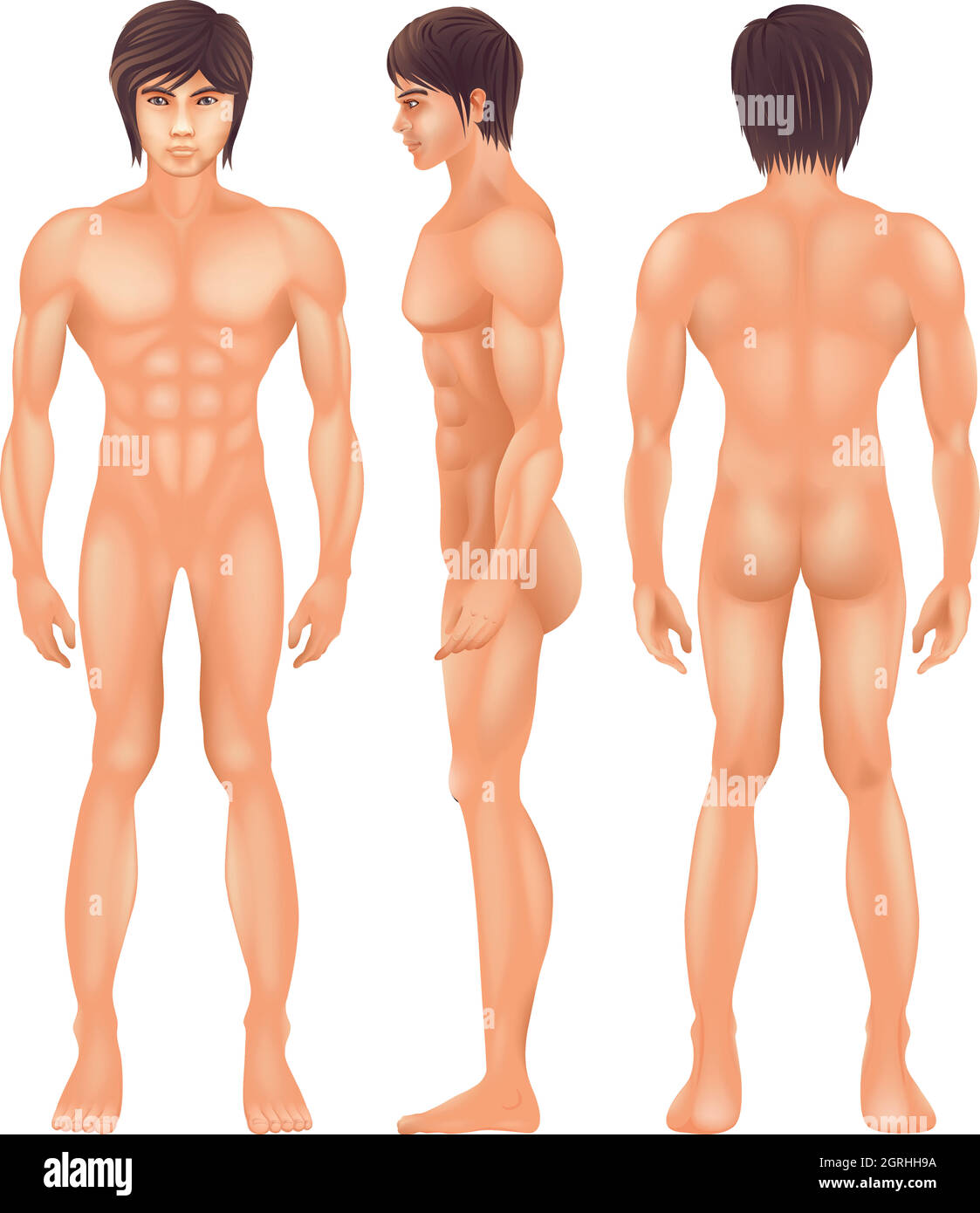Corpo umano Illustrazione Vettoriale