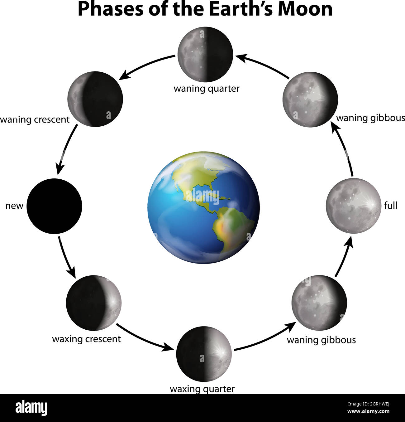 Fasi della Luna della Terra Illustrazione Vettoriale