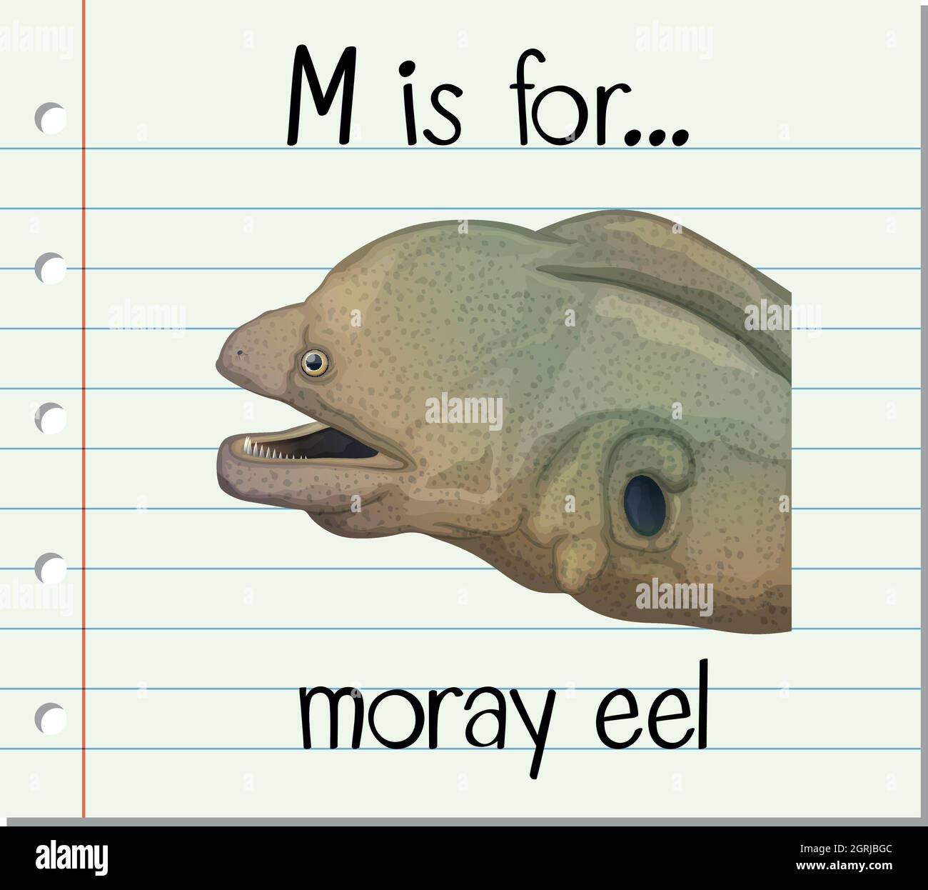 La lettera M della flashcard è per l'anguilla morana Illustrazione Vettoriale