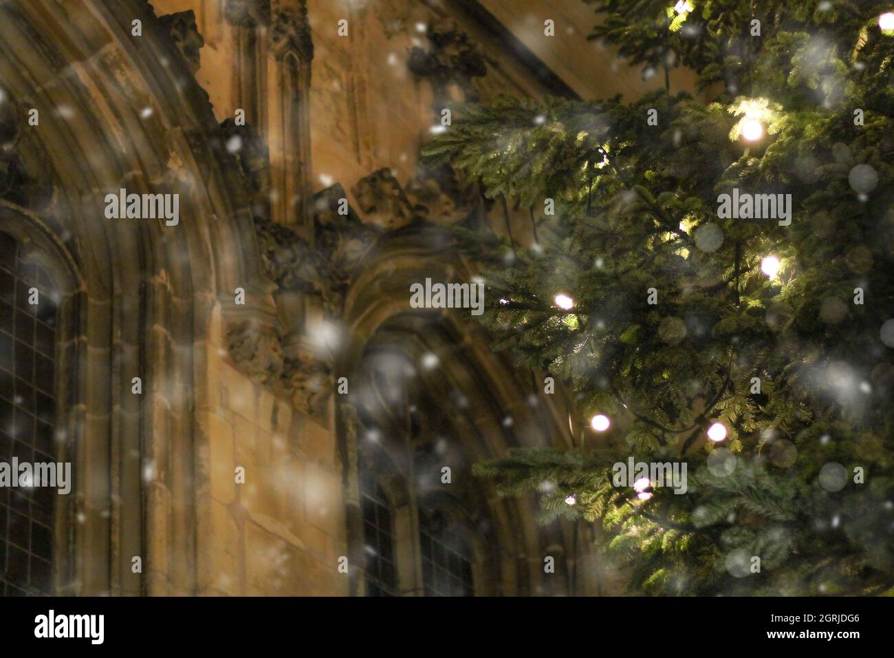 Cattedrale cristiana con albero di Natale Foto Stock
