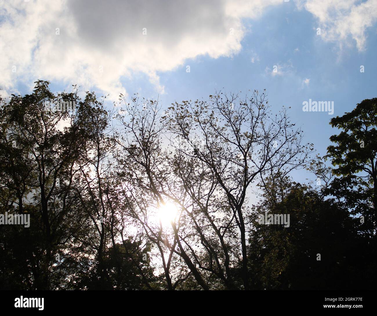 Una bella giornata autunnale soleggiata. Foto Stock