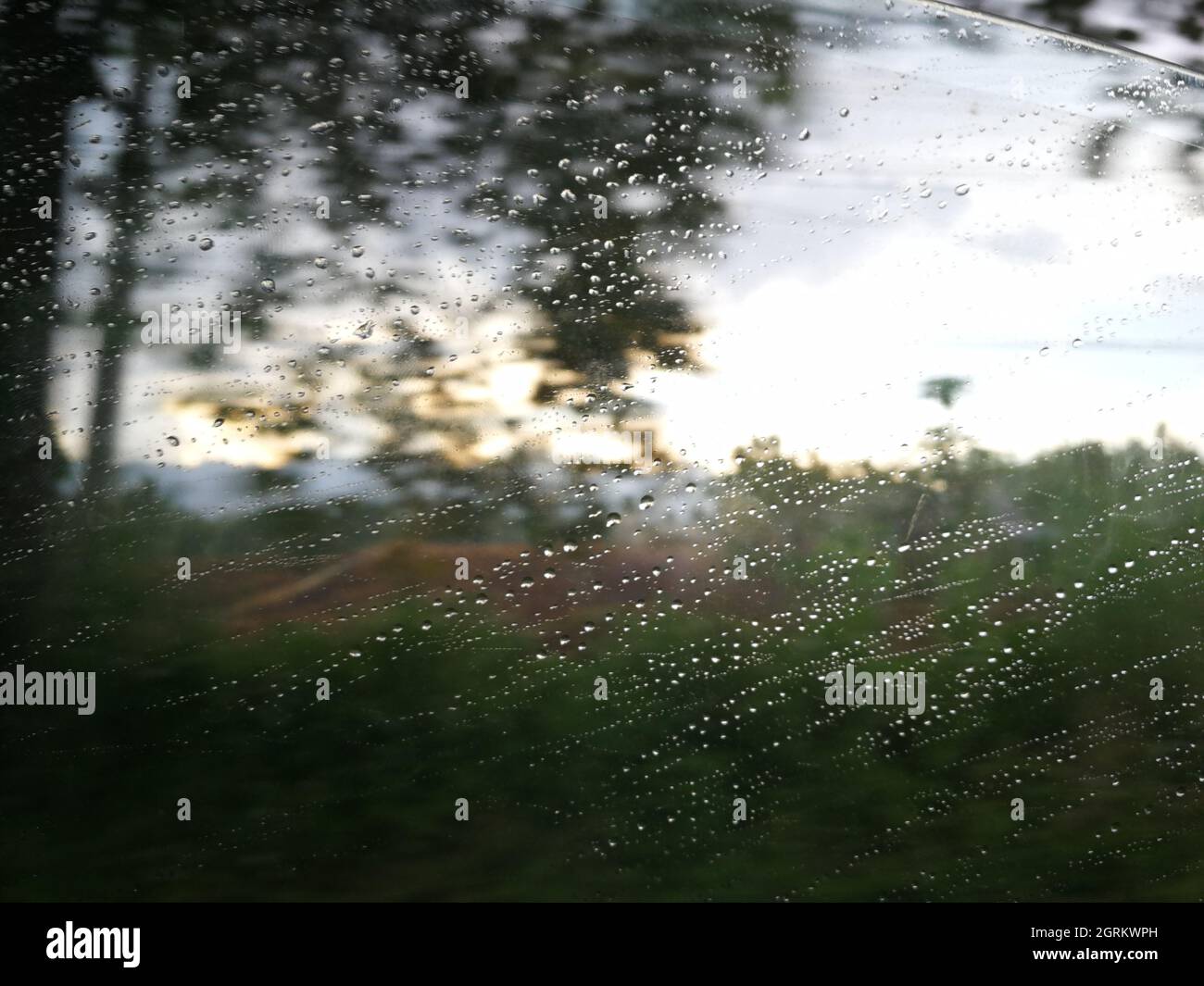 Gocce di pioggia sulla finestra in vetro Foto Stock